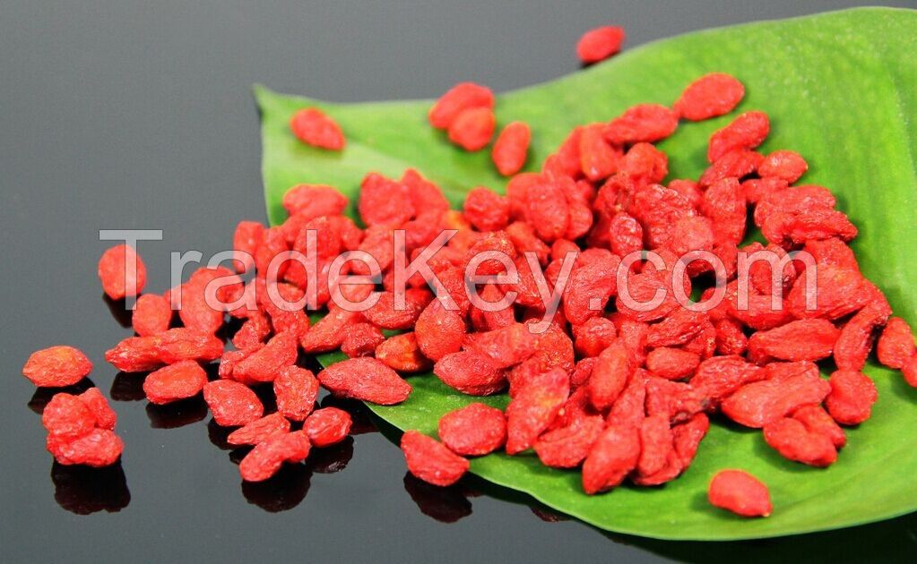 Organic Dried Ningxia Goji berry/wolfberry