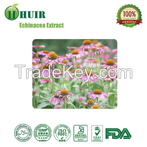 Herbal extractEchinacea Purpurea Extract