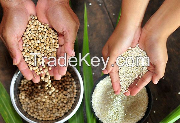 chinese pearl barley, job's tear