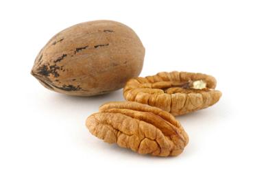 In-Shell Pecan Nut