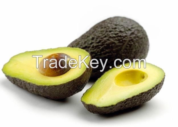 Mexican Hass Avocado