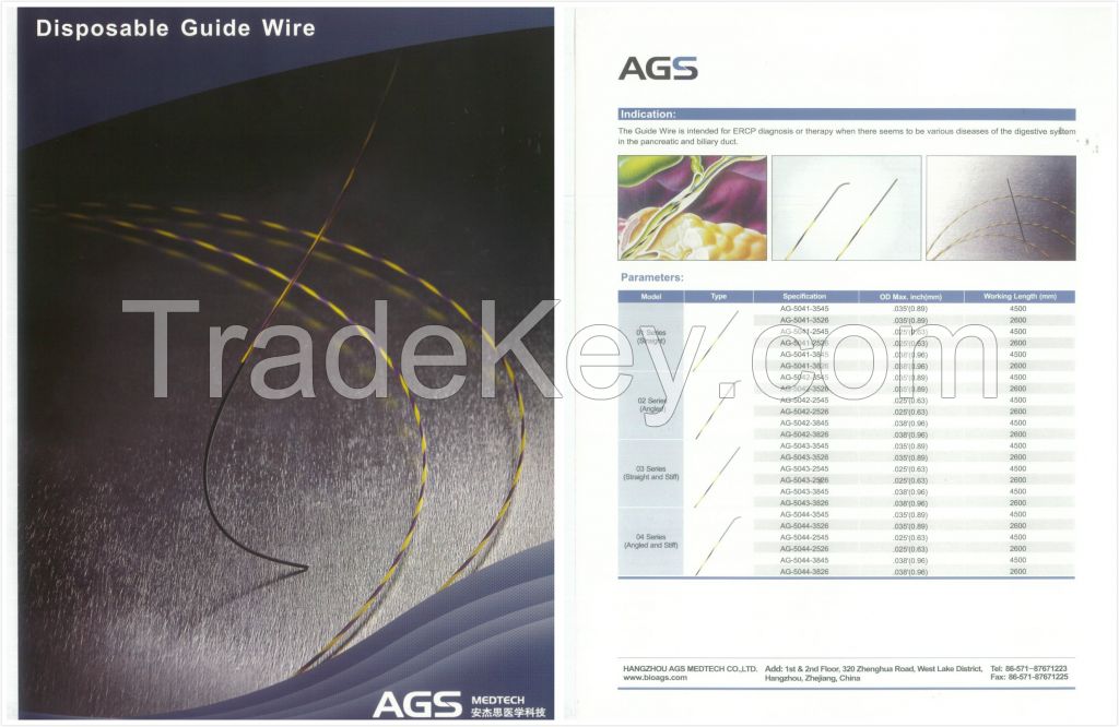 Disposable Guide Wire