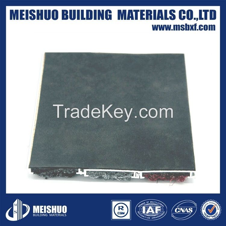 Aluminum Door Mat Carpet of Entrance Mat Made in China