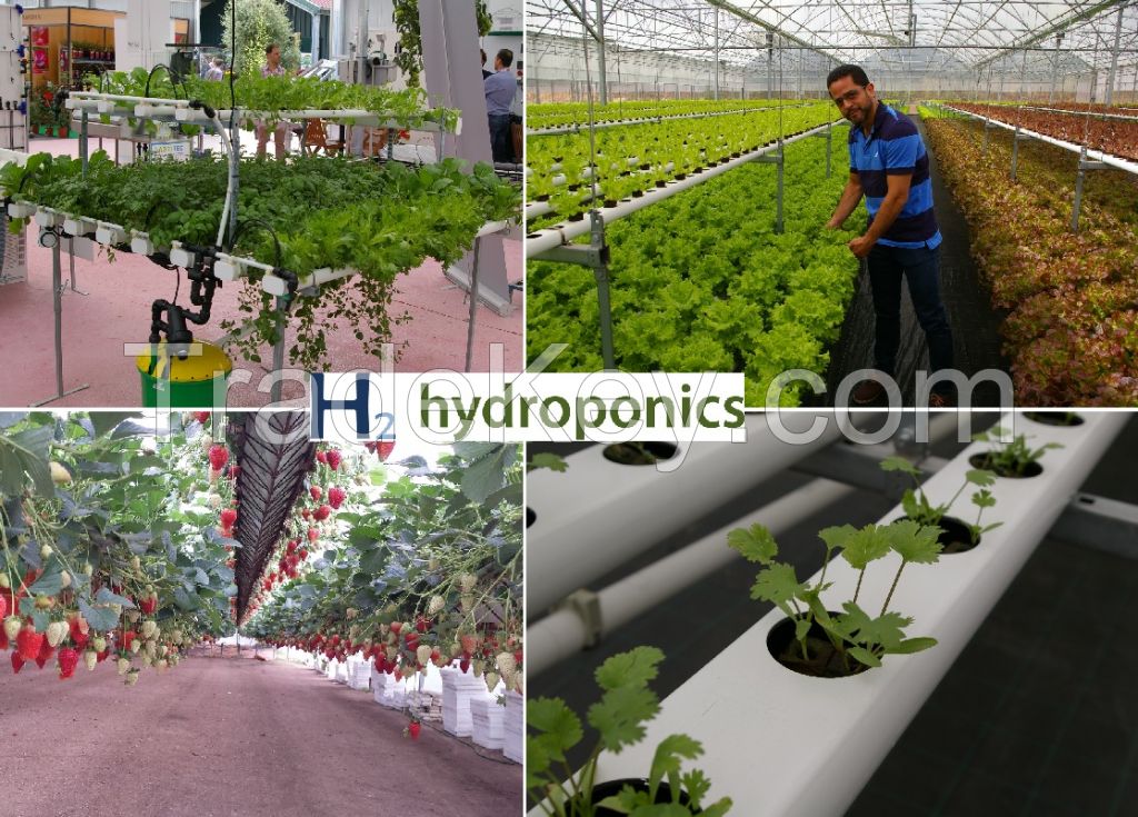 Commercial greenhouses for aeroponics, hydroponics NFT growing system