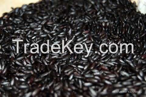 Black Rice- Jasmine rice black rice