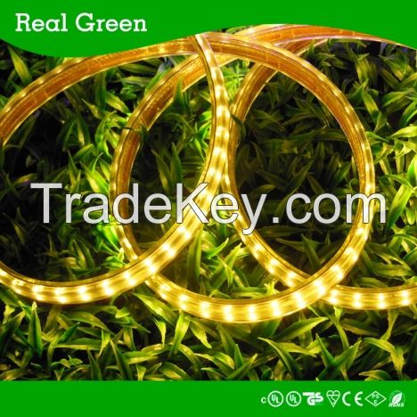 SMD3014 220V Double row LED strip light