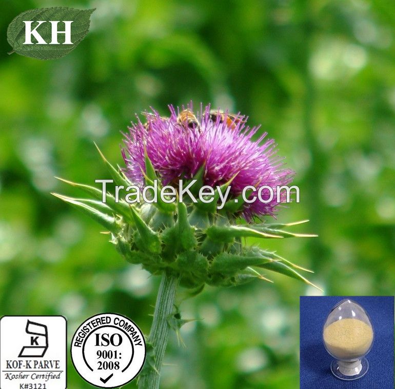 Liver Protecting Milk Thistle Extract / Silymarin 80%