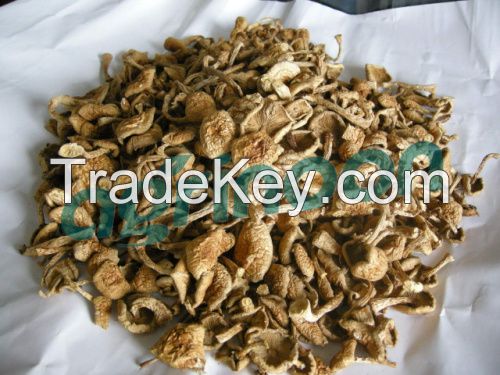 Dried Nameko Mushroom