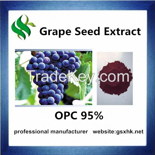 Natrual Grape Seed Extract