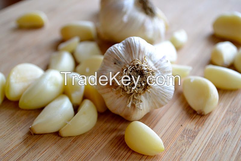 Dehydrated Garlic and White & Red Onion Products
