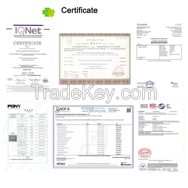 Sweeteners  Internation Price of Stevia P.E. Steviosides