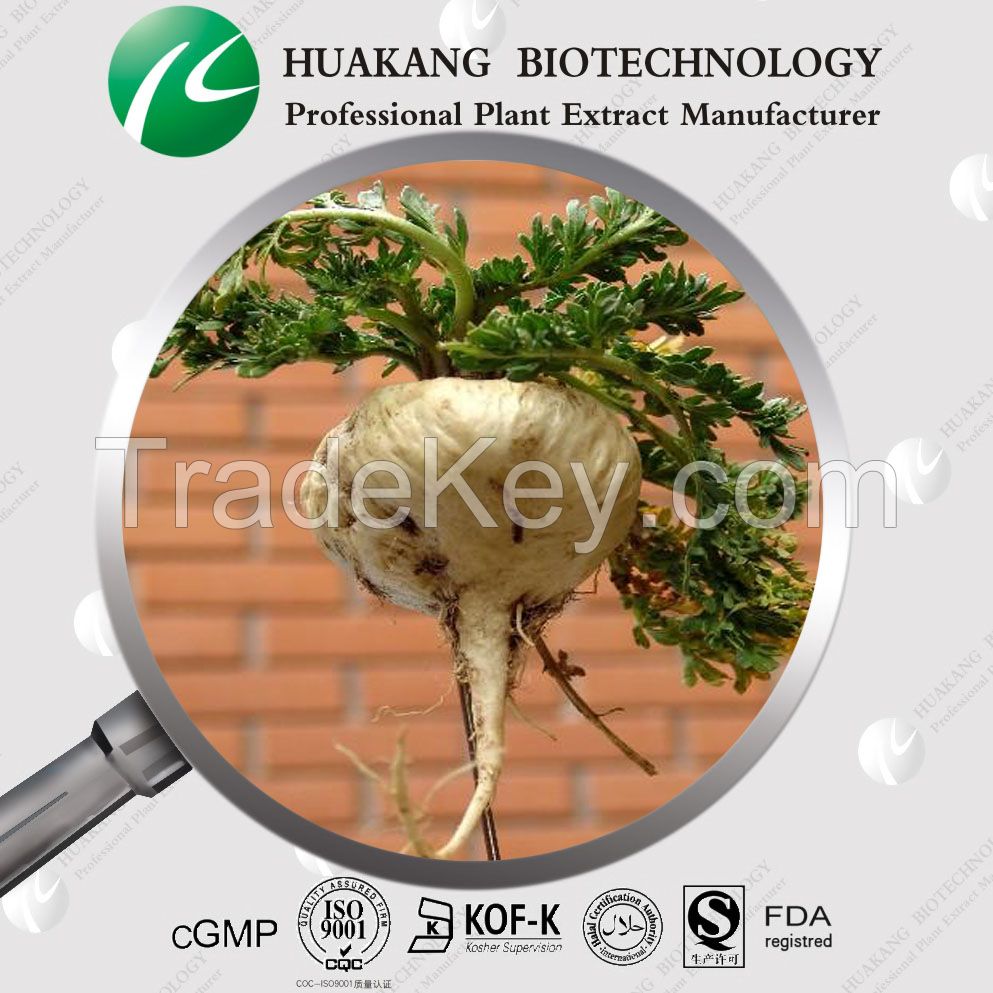 High Quality Maca Extract