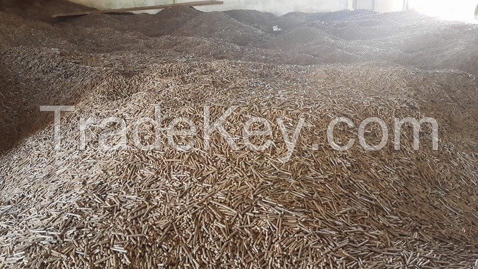 Wood pellets made from acacia 100%