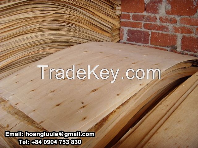 Eucalyptus Core Veneer