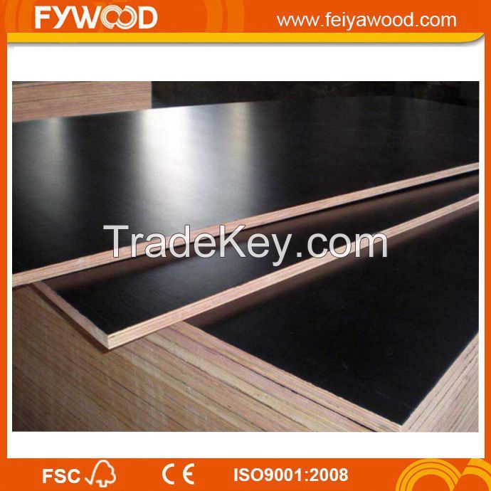 High quality film faced plywood