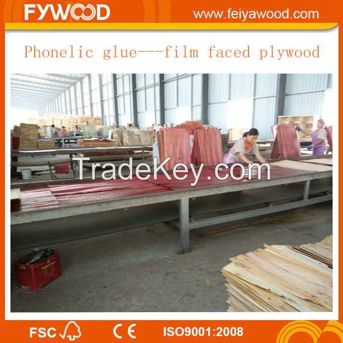 Film faced plywood wood plywood