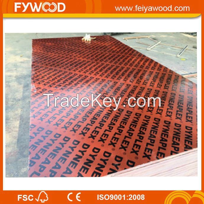 Film faced plywood wood plywood to Europe