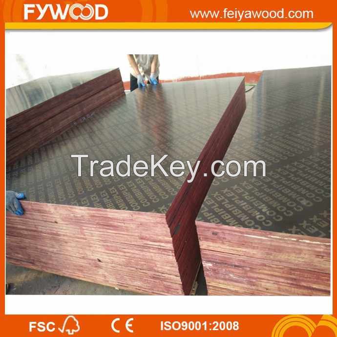 Film faced plywood wood plywood to Europe