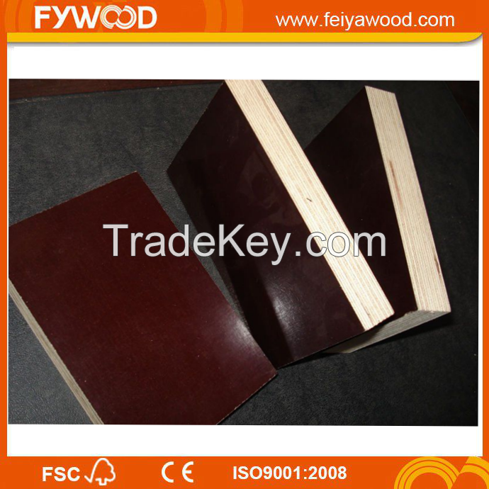 Film faced plywood wood plywood to Europe