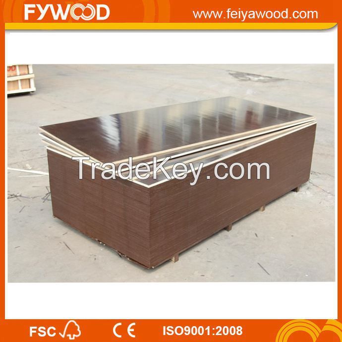 Film faced plywood wood plywood to Europe