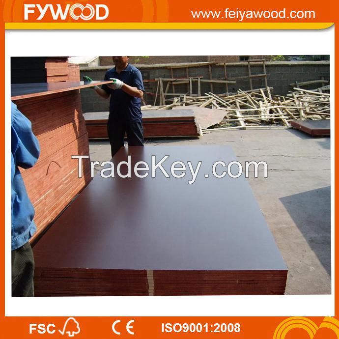 Waterproof plywood film faced plywood