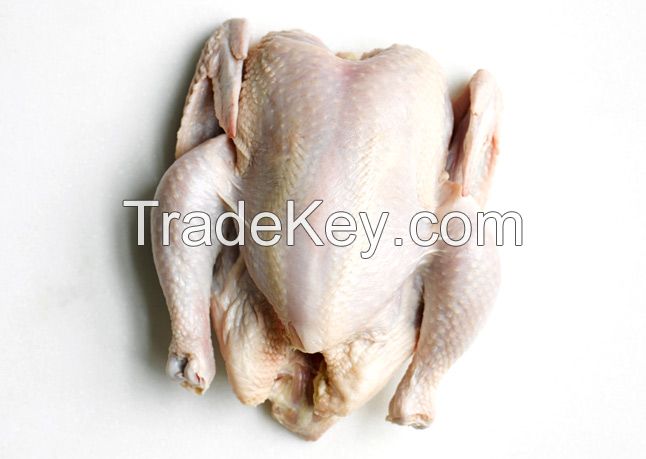 Chicken Whole Bird Grillers