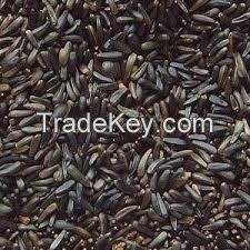 Niger Seeds