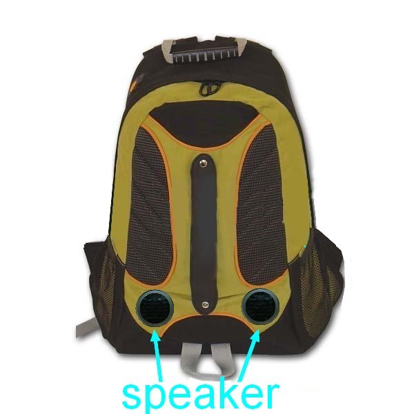 speaker bag