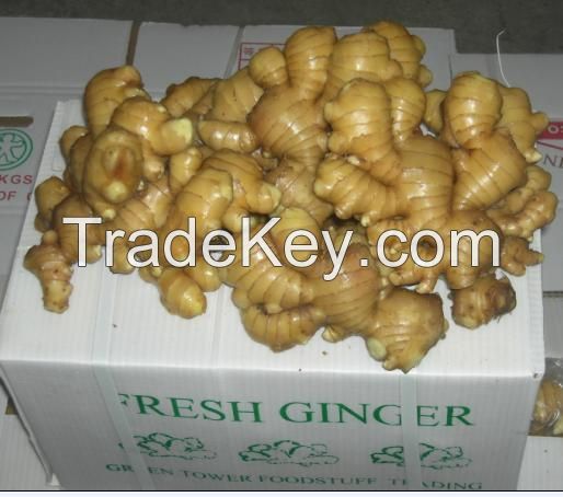 fresh ginger,