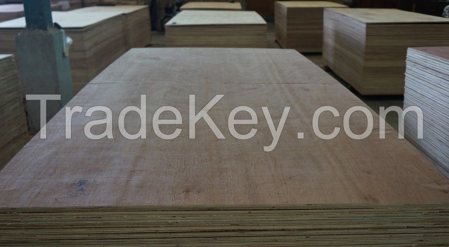 Plywood (Timberwood Face Veneer )