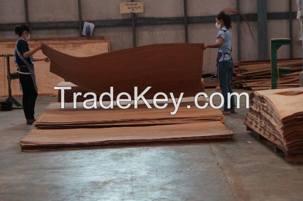 Keruing Plywood