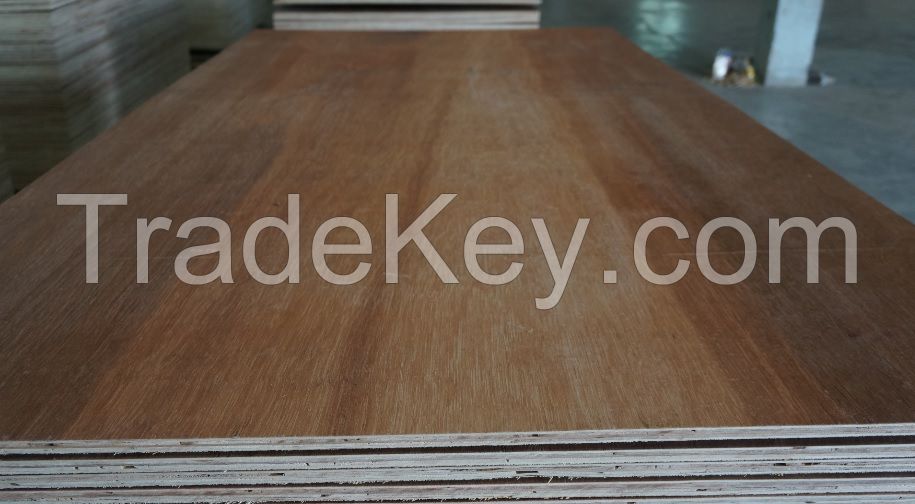 Keruing Plywood