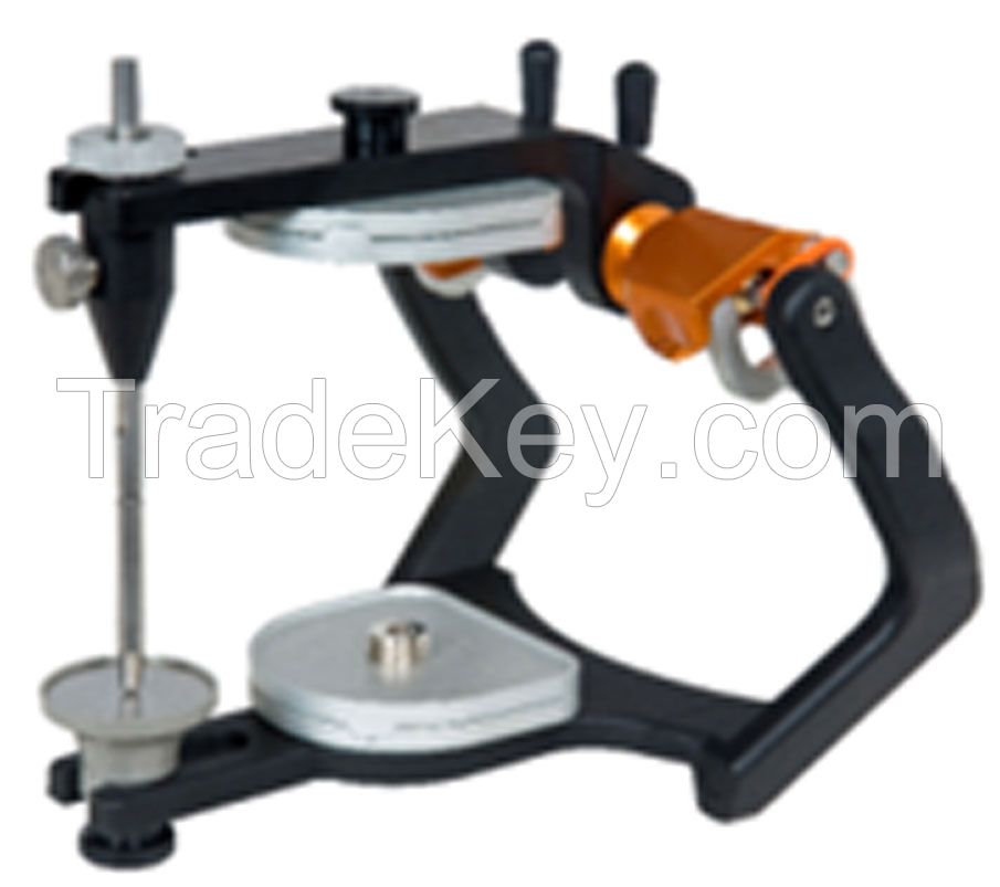 AVERAGE ARTICULATOR