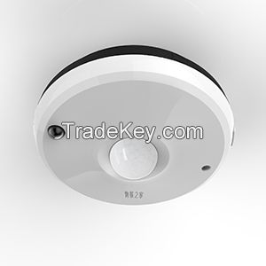 wireless PIR motion detector