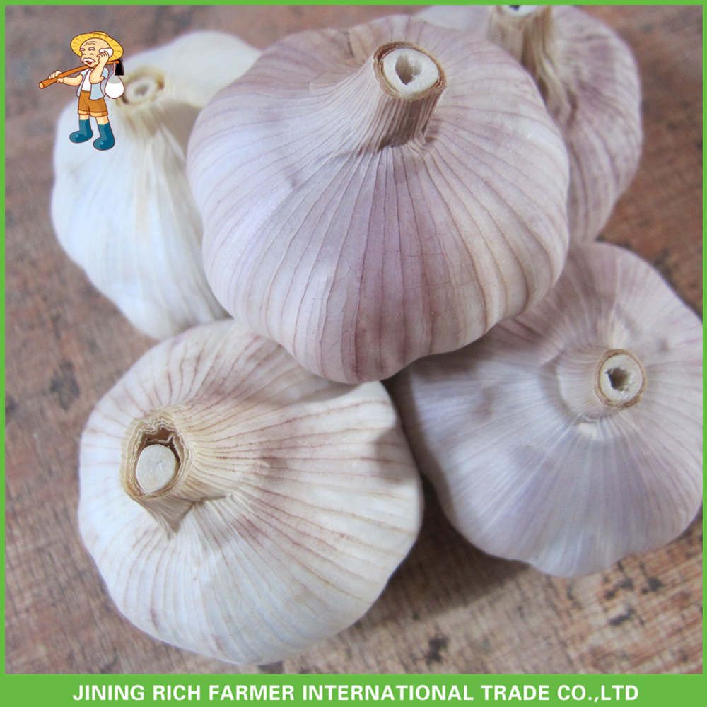 Chinese Fresh Normal White Garlic 