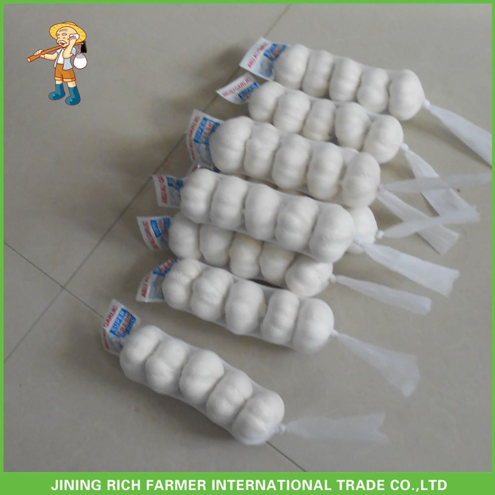 Chinese Fresh White Garlic 