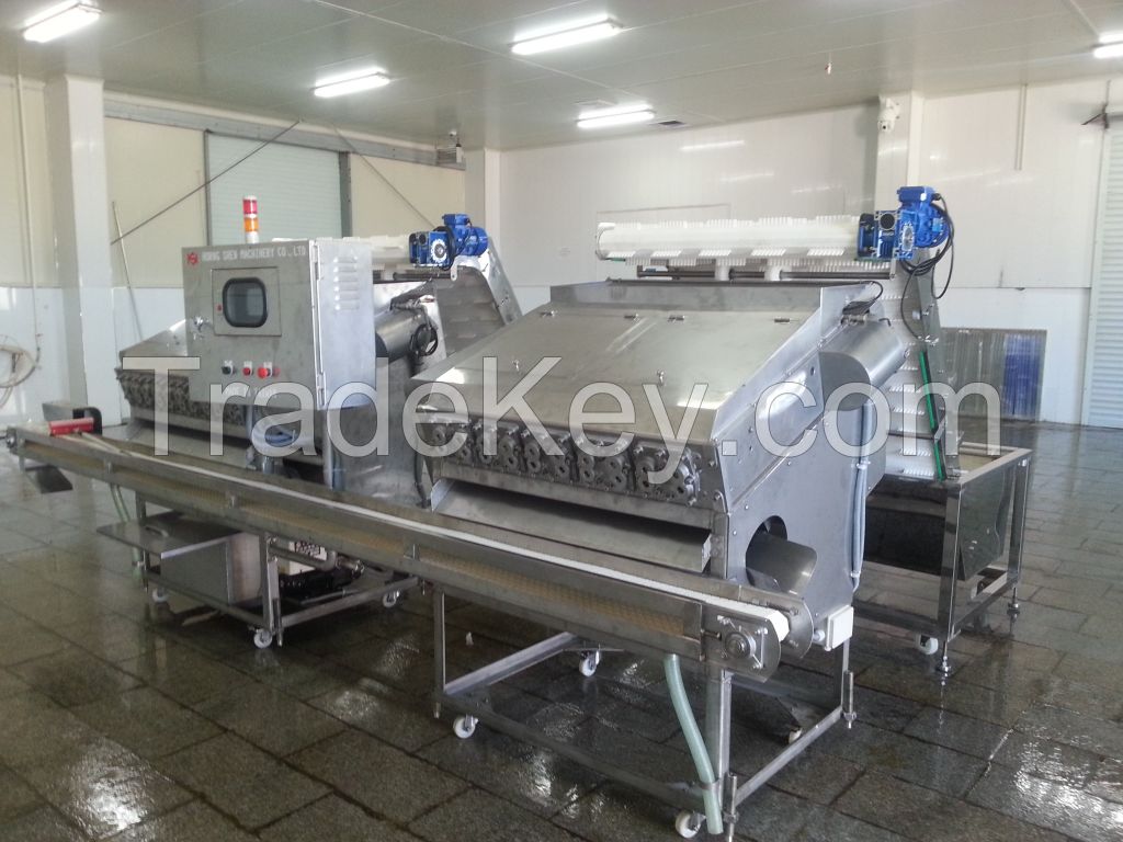 Automatic shrimp peeling machine