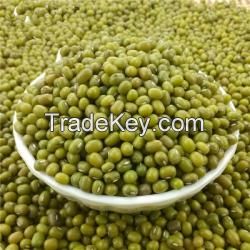 Good Quality Green Mung Beans For Export