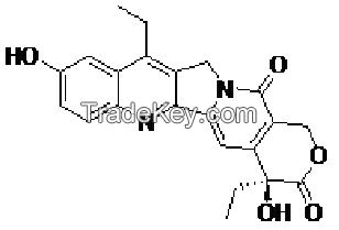 Hydroxy Camptothecin SN-38