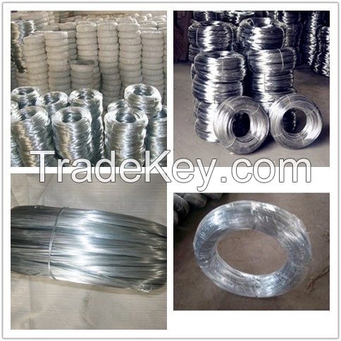 galvanized wire galvanized iron wire galvanized welded wire mesh