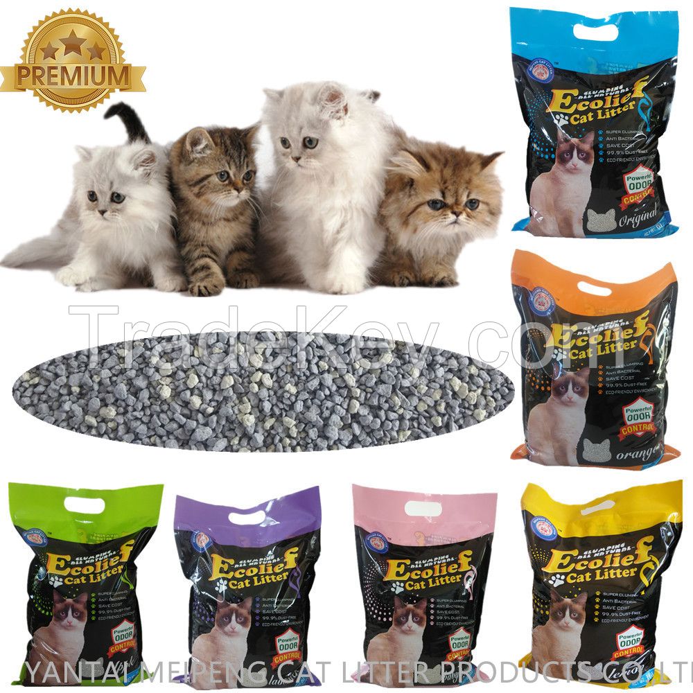 Best Bentonite Cat litter