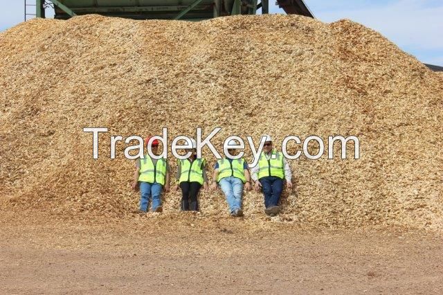Wood chips and Lumber 