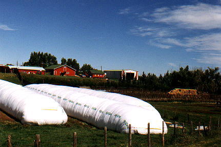 Agricultural Film/GreenHouse Film