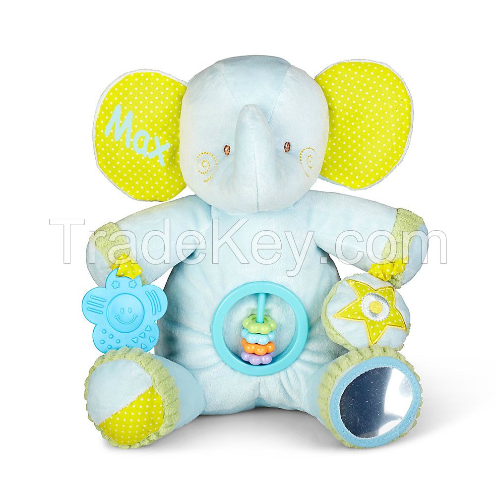 Boy Activity Teddy