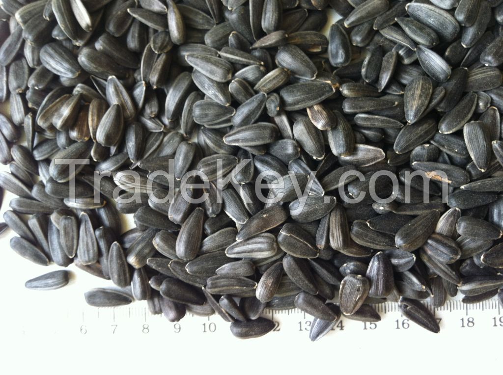 Sunflower Seeds