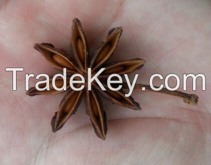 star anise