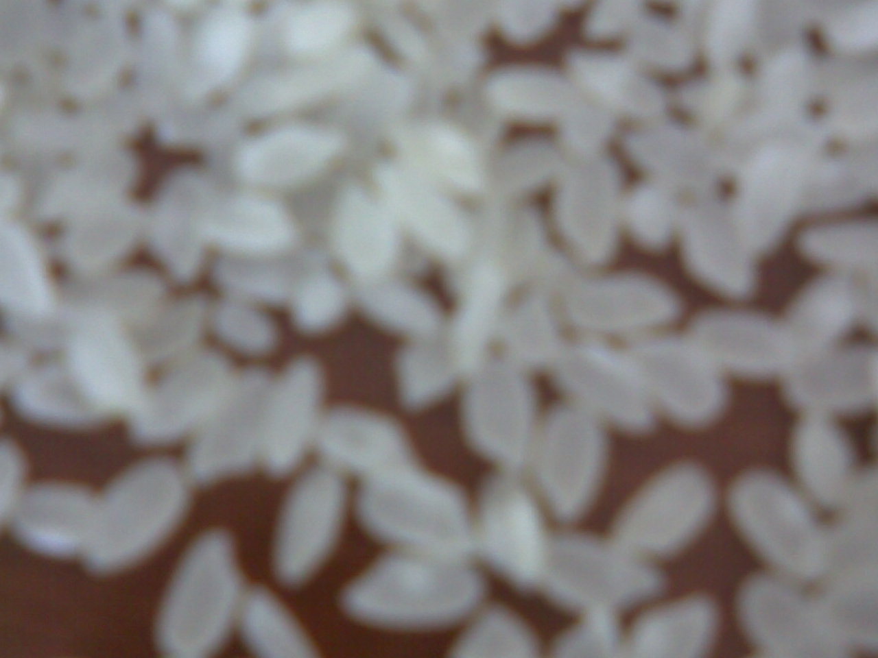 Ordinary rice ,high quality rice high quality rice