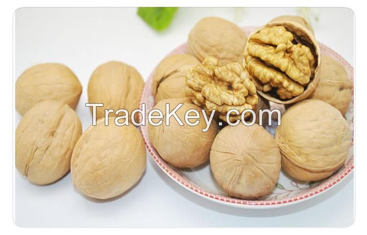 "XinJiang"High Quality Walnuts