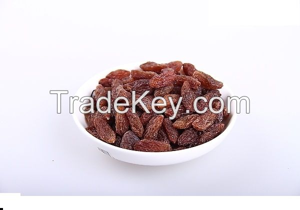 "XinJiang"High Quality Red Raisin/Dried Red Currant