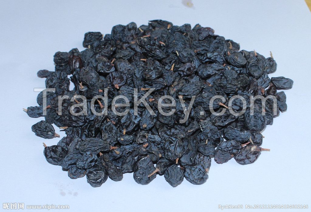 "XinJiang"High Quality Black Currant/ Black Raisins